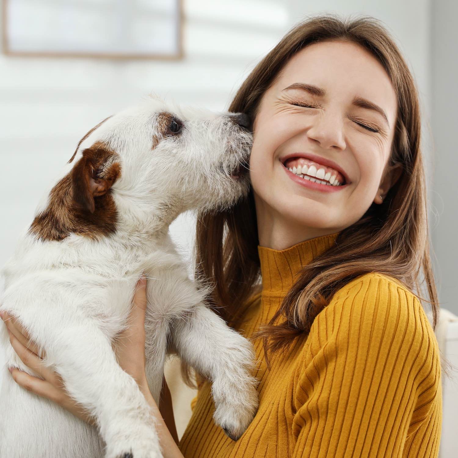 Produits vétérinaires pour chiens, chats et NAC